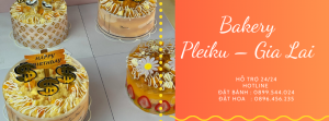 Bánh Sinh Nhật Pleiku Gia Lai – Tươi Ngon Mỗi Ngày
