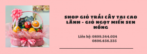 Shop Giỏ Trái Cây Tại Cao Lãnh - Giỏ Ngọt Miền Sen Hồng