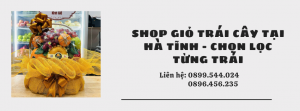 Shop Giỏ Trái Cây Tại Hà Tĩnh - Chọn Lọc Từng Trái