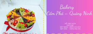Bánh Sinh Nhật Cẩm Phả Quảng Ninh – Tươi Ngon Mỗi Ngày