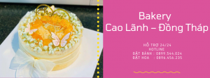 Bánh Kem Cao Lãnh Đồng Tháp – Giao Nhanh Tận Tay