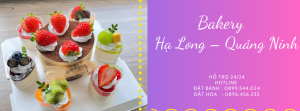 Tiệm Bánh Sinh Nhật Hạ Long Quảng Ninh – FreeShip Giao Nhanh