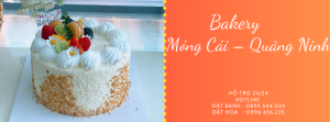 Tiệm Bánh Sinh Nhật Móng Cái Quảng Ninh – Mẫu Mã Đa Dạng