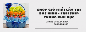 Shop Giỏ Trái Cây Tại Bắc Ninh - Freeship Trong Khu Vực