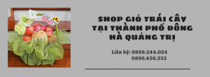 Shop Giỏ Trái Cây Tại Thành Phố Đông Hà Quảng Trị