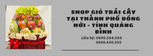 Shop Giỏ Trái Cây Tại Thành Phố Đồng Hới - Tỉnh Quảng Bình