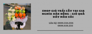 Shop Giỏ Trái Cây Tại Gia Nghĩa Đắk Nông - Giỏ Quà Đầy Màu Sắc