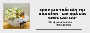 Shop Giỏ Trái Cây Tại Hòa Bình - Giỏ Quà Sức Khỏe Cao Cấp