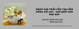 Shop Giỏ Trái Cây Tại Lâm Đồng Đà Lạt - Giỏ Quà Cho Mọi Dịp