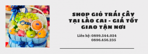Shop Giỏ Trái Cây Tại Lào Cai - Giá Tốt Giao Tận Nơi