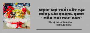 Shop Giỏ Trái Cây Tại Móng Cái Quảng Ninh - Mẫu Mới Hấp Dẫn