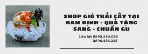 Shop Giỏ Trái Cây Tại Nam Định - Quà Tặng Sang - Chuẩn Gu