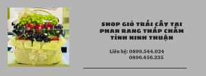 Shop Giỏ Trái Cây Tại Phan Rang Tháp Chàm - Giao Hàng Nhanh