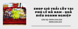 Shop Giỏ Trái Cây Tại Phủ Lý Hà Nam - Quà Biếu Doanh Nghiệp
