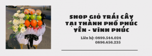 Shop Giỏ Trái Cây Tại Thành Phố Phúc Yên - Vĩnh Phúc