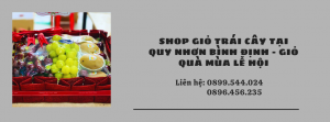 Shop Giỏ Trái Cây Tại Quy Nhơn Bình Định - Giỏ Quà Mùa Lễ Hội