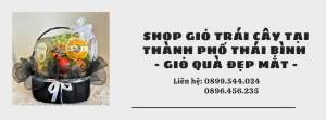 Shop Giỏ Trái Cây Tại Thành Phố Thái Bình - Giỏ Quà Đẹp Mắt