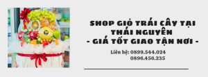Shop Giỏ Trái Cây Tại Thái Nguyên - Giá Tốt Giao Tận Nơi