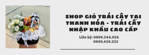 Shop Giỏ Trái Cây Tại Thanh Hóa - Trái Cây Nhập Khẩu Cao Cấp