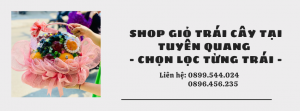 Shop Giỏ Trái Cây Tại Tuyên Quang - Chọn Lọc Từng Trái