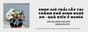 Shop Giỏ Trái Cây Tại Thành Phố Vinh Nghệ An - Quà Biếu Ý Nghĩa