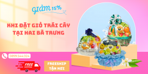 Shop Trái Cây Hai Bà Trưng Hà Nội