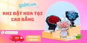 Shop Hoa Tươi Cao Bằng Giao Nhanh