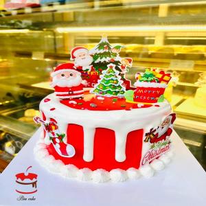 Bánh Kem Noel 10 - DA10