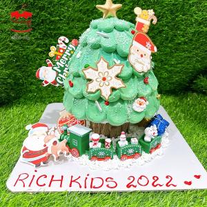 Bánh Kem Noel 13 - DA13